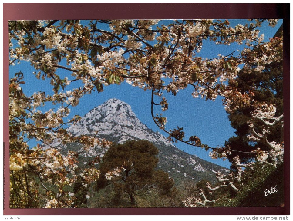 CPM 83 LA VALETTE Domaine "Gueules Cassées" Le Coudon à Travers Les Cerisiers En Fleurs - La Valette Du Var