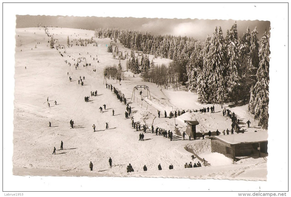 Feldberg-Schwarzwald -(A.2335) - Feldberg