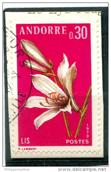 Andorre 1973 - YT 229 (o) Sur Fragment - Oblitérés