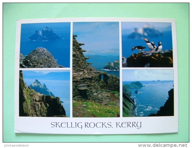 Ireland 2006 Postcard "Skellig Rocks - Kerry - Multiview - Puffins" To England - Plant Flowers Navelwort - Scott 1652... - Briefe U. Dokumente