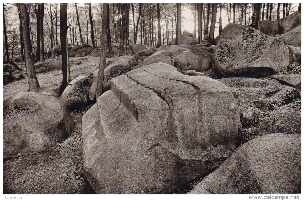 CP ALLEMAGNE ODENWALD FELSBERG ALTARSTEIN - Odenwald