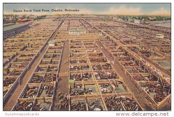 Union Stock Yard Pens Omaha Nebraska 1941 - Omaha