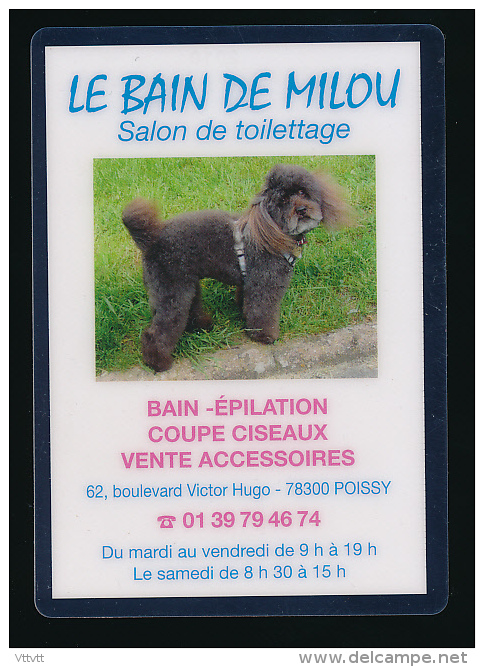 Calendrier Petit Format 2010, Plastifié Rigide : "Le Bain De Milou" (Poissy, Yvelines), Salon De Toilettage, Chien - Small : 2001-...