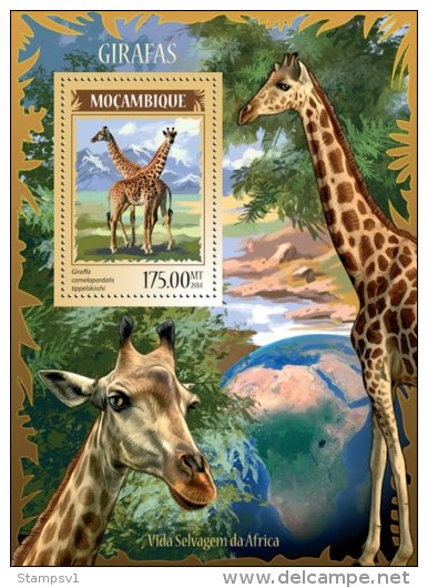 Mozambique. 2014 Giraffes. (218b) - Girafes