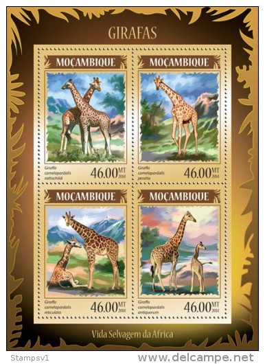 Mozambique. 2014 Giraffes. (218a) - Giraffes