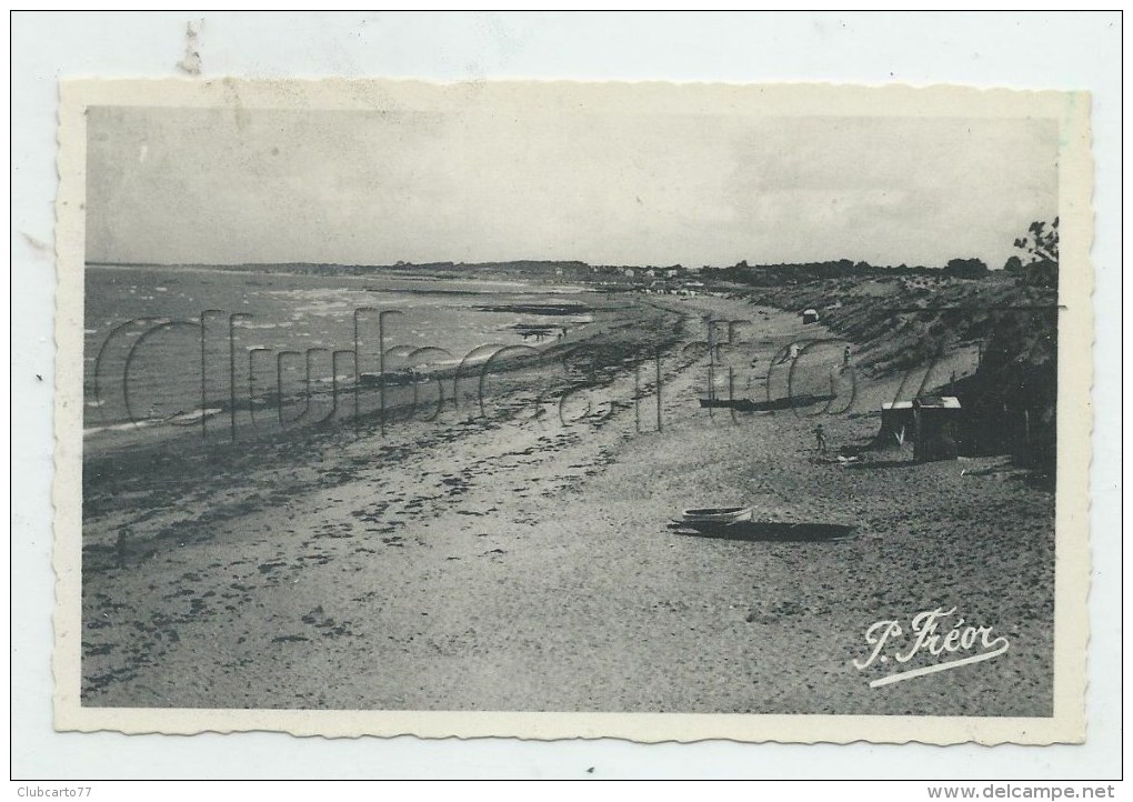 La Plaine-sur-Mer (44) : La Plage De  La Souauzinière à Le  Cormier Prise En 1956 (animé)  PF. - La-Plaine-sur-Mer