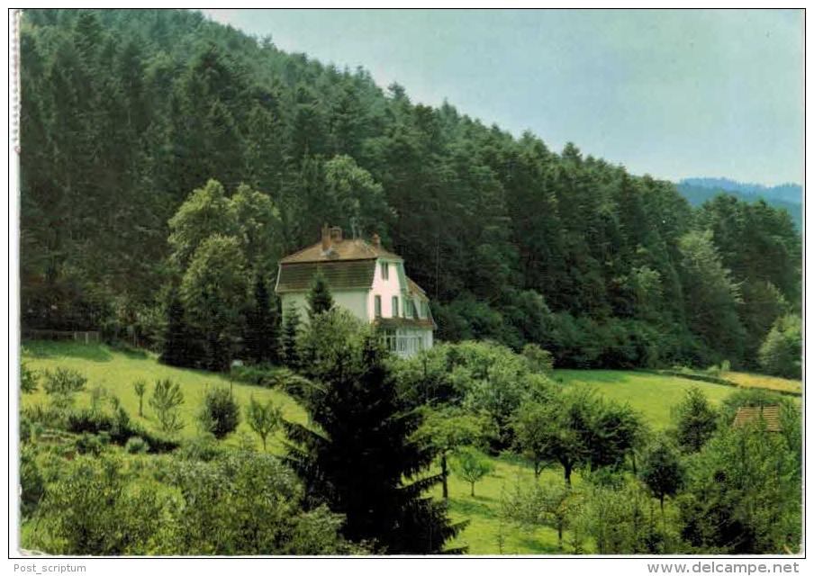 Rothau Maison De Vacances Des Diaconesses De Strasbourg  Mon Repos - Rothau