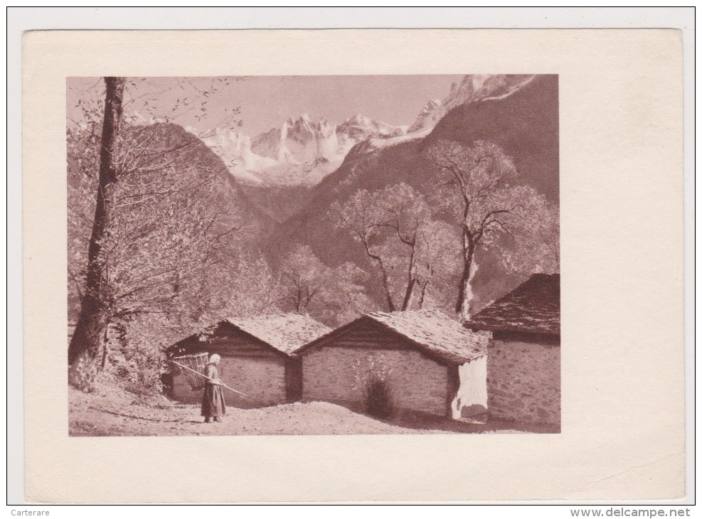 SUISSE,SWITZERLAND,SVIZZE RA,SCHWEIZ,HELVETIA,SWISS ,GRISONS,LOMBARDIE,ITALIA ,Vallée BERGELL,VAL BREGAGLIA,1936,fermier - Bregaglia