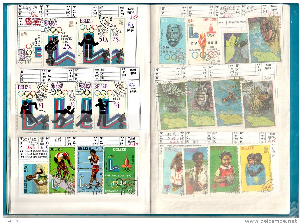 Carnet: BRESIL, BAHAMAS, BELIZE, BARBADES - Cote 296,25  € - Collections (en Albums)