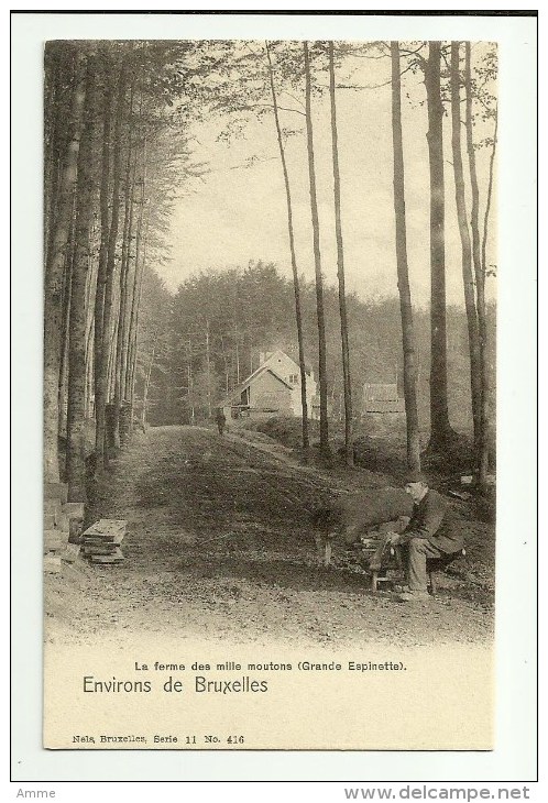 Environs De Bruxelles  *  Ferme Des Mille Moutons  (Grande Espinette)   (Nels) - Rhode-St-Genèse - St-Genesius-Rode