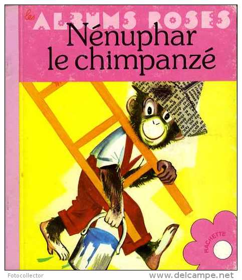 Enfantina Nénuphar Le Chimpanzé Dessins Romain Simon (ISBN 2010046307) - Hachette