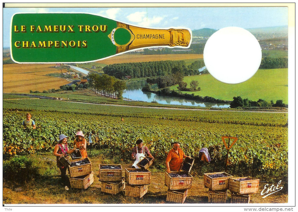 Le Fameux Trou Champenois - Champagne - Vignes - Vendanges - Vignes