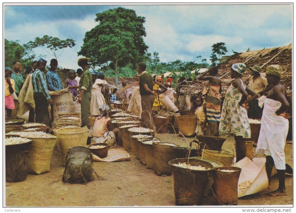 AFRIQUE,AFRICA,GABON,marc Hé Aux ARACHIDES,N Gounié,NGounié,VENDEUR,VE NDEUSE,Métier - Gabun