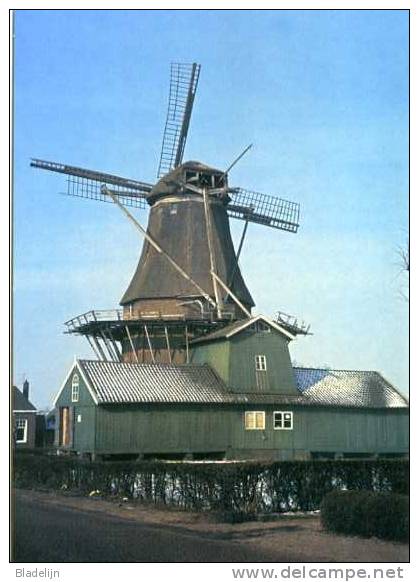 DEDEMSVAART (Ov.) - Molen/moulin - Zeldzame Historische Opname Van Molen DE TOEKOMST In 1964, Later Afgebrand. - Dedemsvaart
