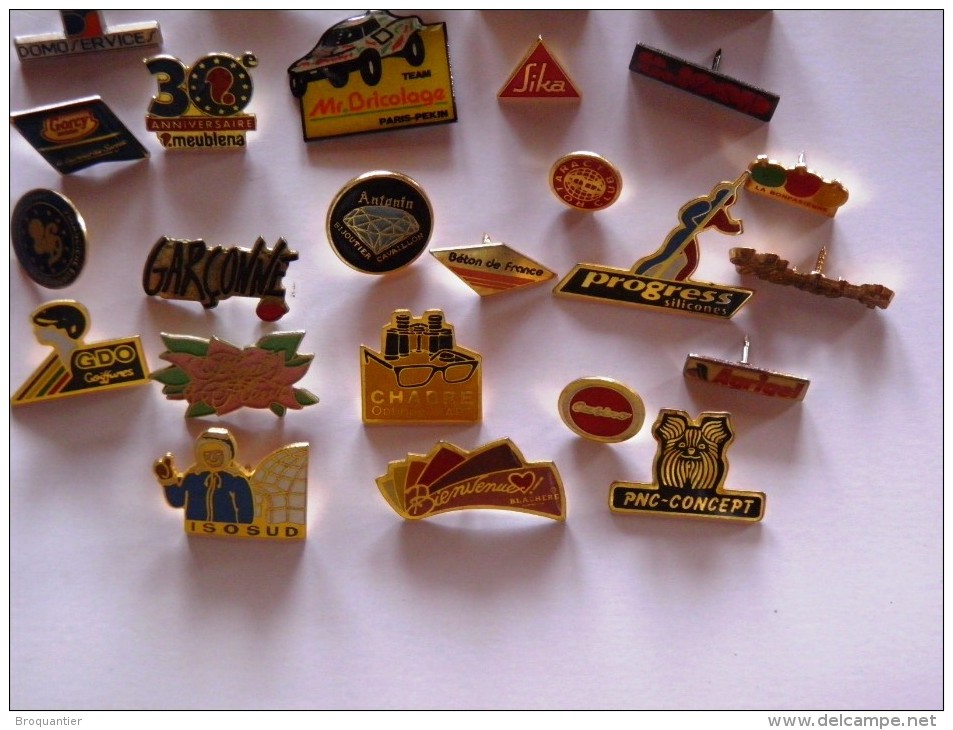 Pin's Sur Les Magasins, Marques, Domaines. - Lots