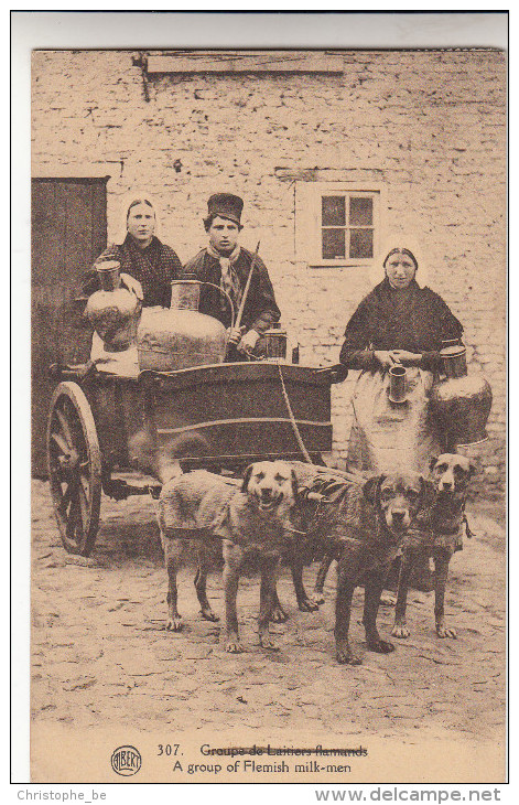 Groupe De Laitiers Flamands, Attelage De Chien, Honderkar (pk14063) - Attelages