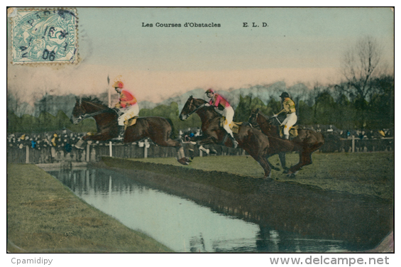 HIPPISME - Les Courses D'Obstacles ( Course De Chevaux, COULEUR Glacée) - Hippisme