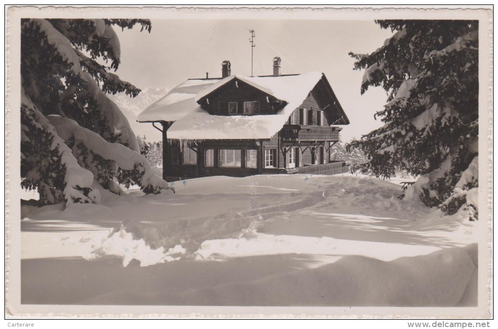 SUISSE,valais,CRANS SUR SIERRE,prés D´icogne,lens Montana,randogne,mollens, NEIGE,HIVER RUDE,chalet,1946 - Sierre