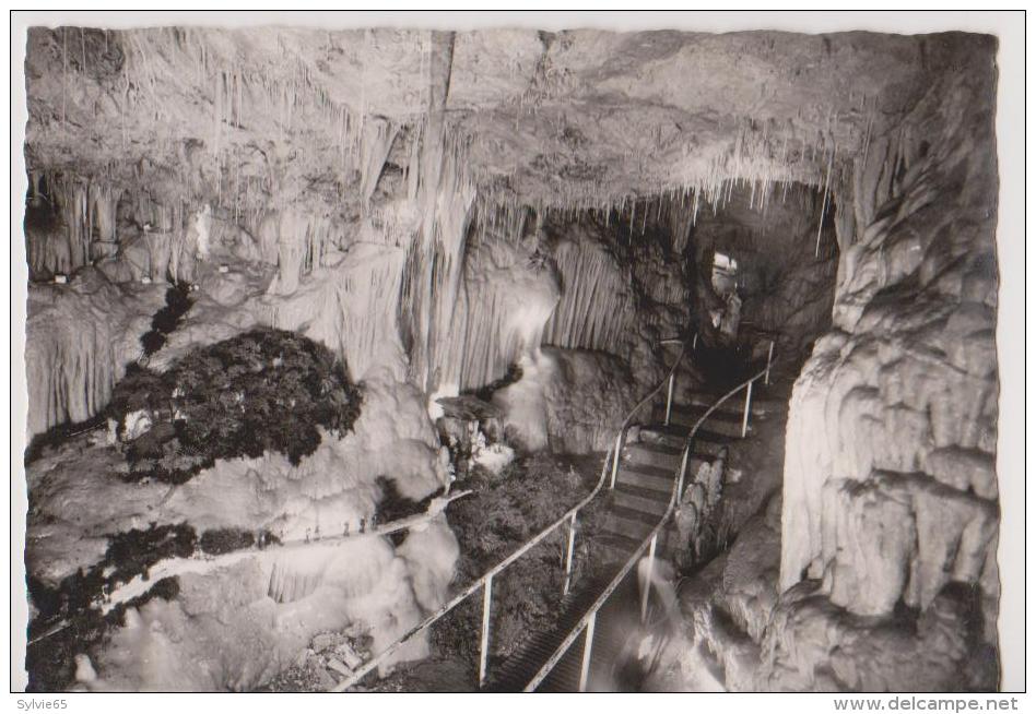 MONACO-la Grotte De L´observatoire Dans Le Jardin Exotique - Tuyaux De Pipe - Exotic Garden