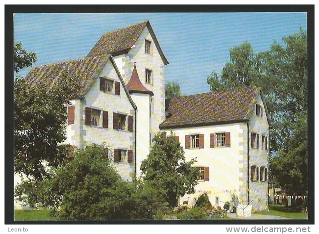 SCHLOSS ROGGWIL Foto Henry W. Salathé Sulgen Thurgauer Heimatschutz 1989 - Sulgen