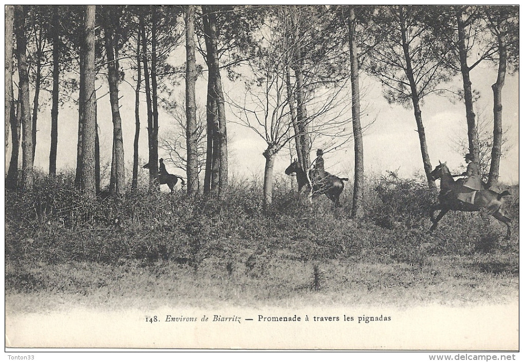 DEPT 64 - Environs De BIARRITZ - Promenade à Travers Les Pignadas - ENCH - - Biarritz