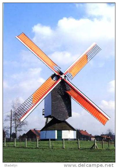 NOORDERWIJK Bij Herentals (Antw.) - Molen / Moulin - De Hogewegmolen Opgezeild En In Werking (1999).  PRACHTKAART! - Herentals