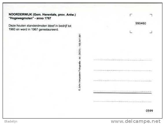 NOORDERWIJK Bij Herentals (Antw.) - Molen / Moulin - De Hogewegmolen Opgezeild En In Werking (1999).  PRACHTKAART! - Herentals