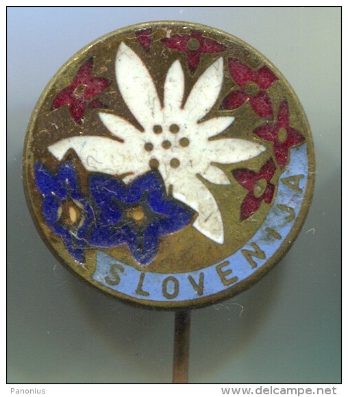 Alpinism, Mountaineering, Climbing -  Slovenia, Vintage Pin, Badge, Enamel - Alpinism, Mountaineering