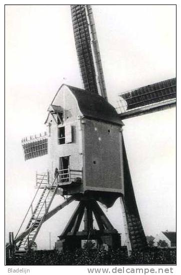 STABROEK (Prov. Antw.) - Molen/moulin - Fraaie Close-up Van De Verdwenen Molen Van Putten ±1925, Opgezeild En In Werking - Stabrök