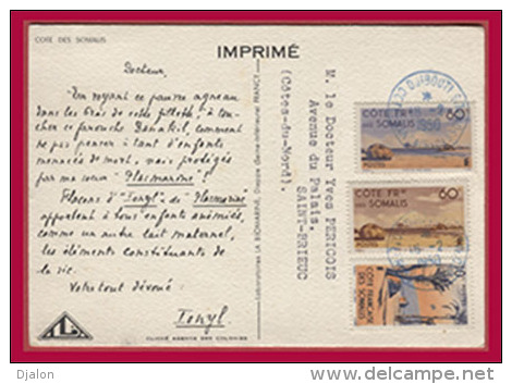 COTE DES SOMALIES. (C.P.A. - Grand Format. - Très Beau Timbres.) - Somalia