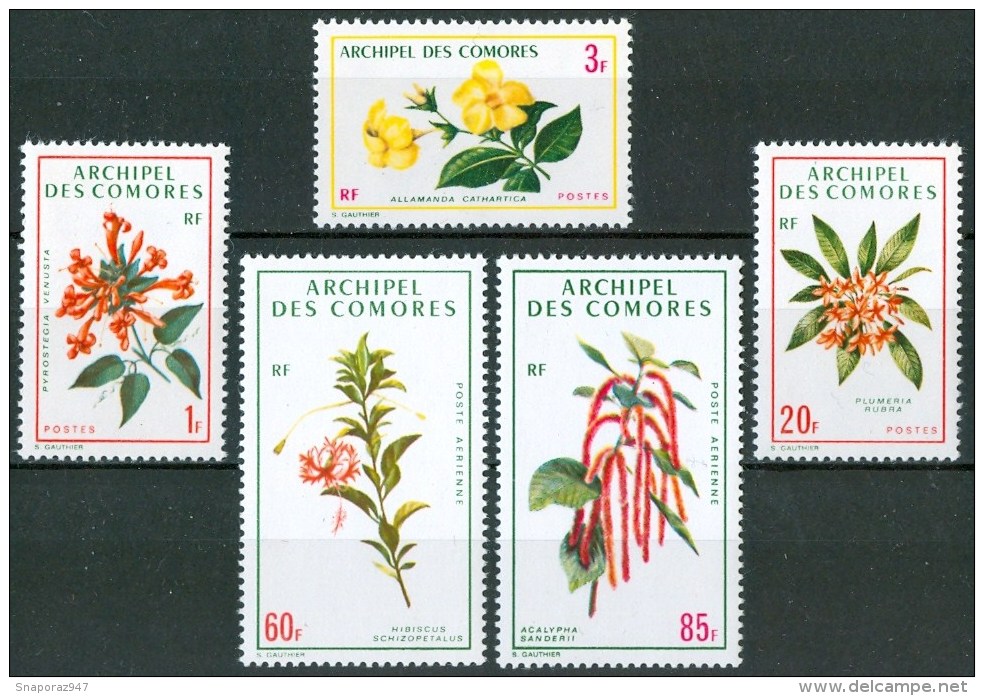 1971 Isole Comore Comore Fiori Flowers Blumen Fleurs Set MNH** Fiog38 - Unused Stamps