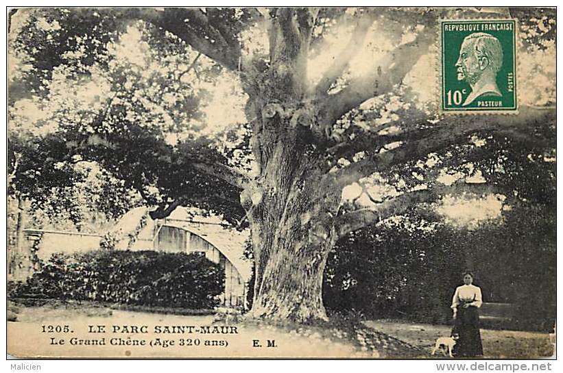 Val De Marne - Ref : P 388 - Le Parc Saint Maur - Le Parc St Maur - Le Grand Chene (320 Ans) Arbre - Arbres - - Saint Maur Des Fosses