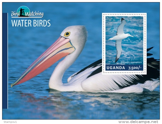 Uganda. 2014 Water Birds. (305b) - Pélicans