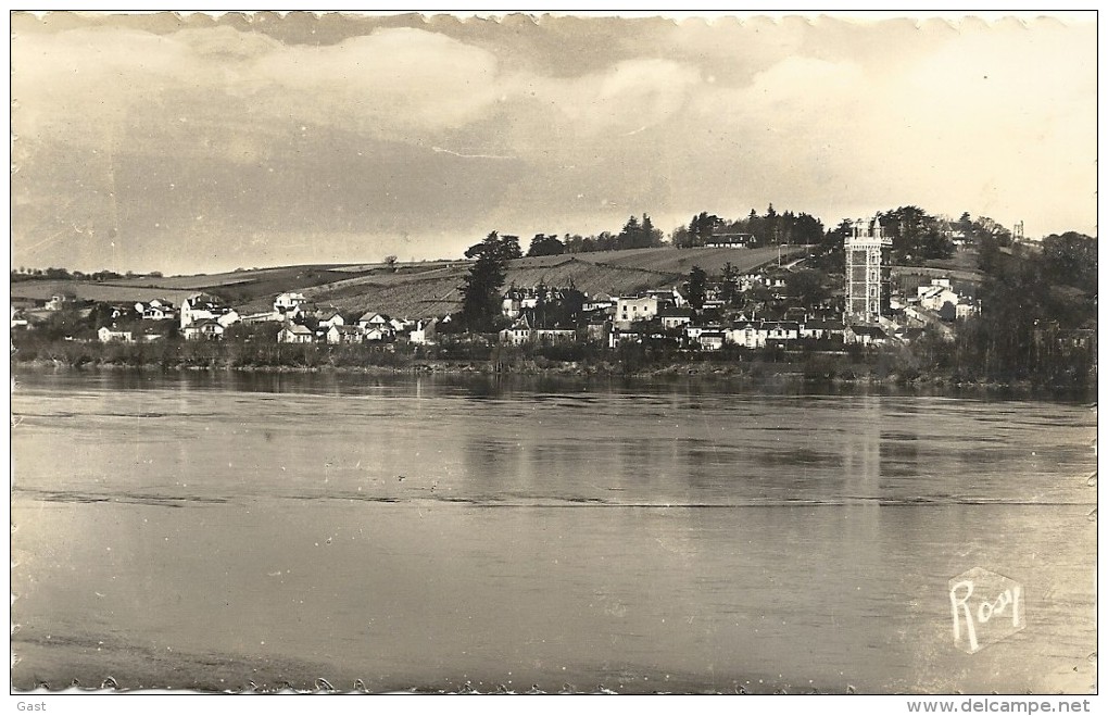 44  OUDON    LES  COTEAUX  ET  LA  TOUR    AU  BORD   DE  LA  LOIRE - Oudon