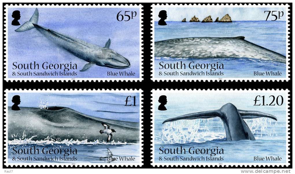 South Georgia 2012 - Faune Marine, Baleine Bleu   - 4v Neufs // Mnh - Zuid-Georgia