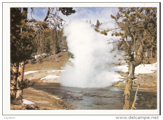 Riverside Geyser - Yellowstone National Park - USA National Parks