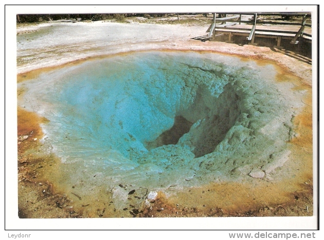 Morning Glory Pool - Yellowstone National Park - USA National Parks