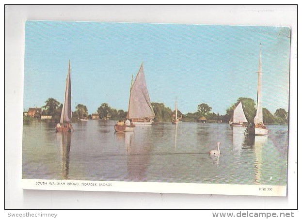 SOUTH WALSHAM BROAD NORFOLK BROADS UNUSED OLD POSTCARD NORFOLK - Autres & Non Classés