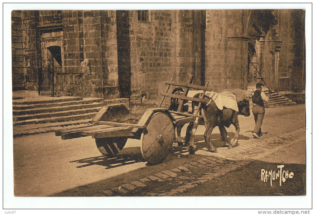 Attelage  De  Boeufs  Devant L'église D'urrugne - Urrugne