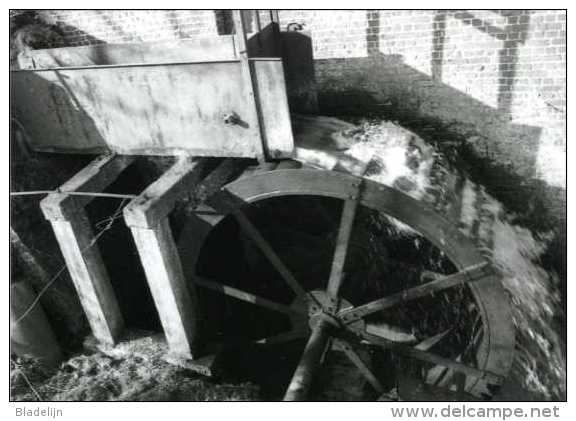 WAMBEEK - Ternat (Brab.) - Molen/moulin - Het Draaiende Bovenslagrad Van De Klapscheutmolen In 1982 - Ternat