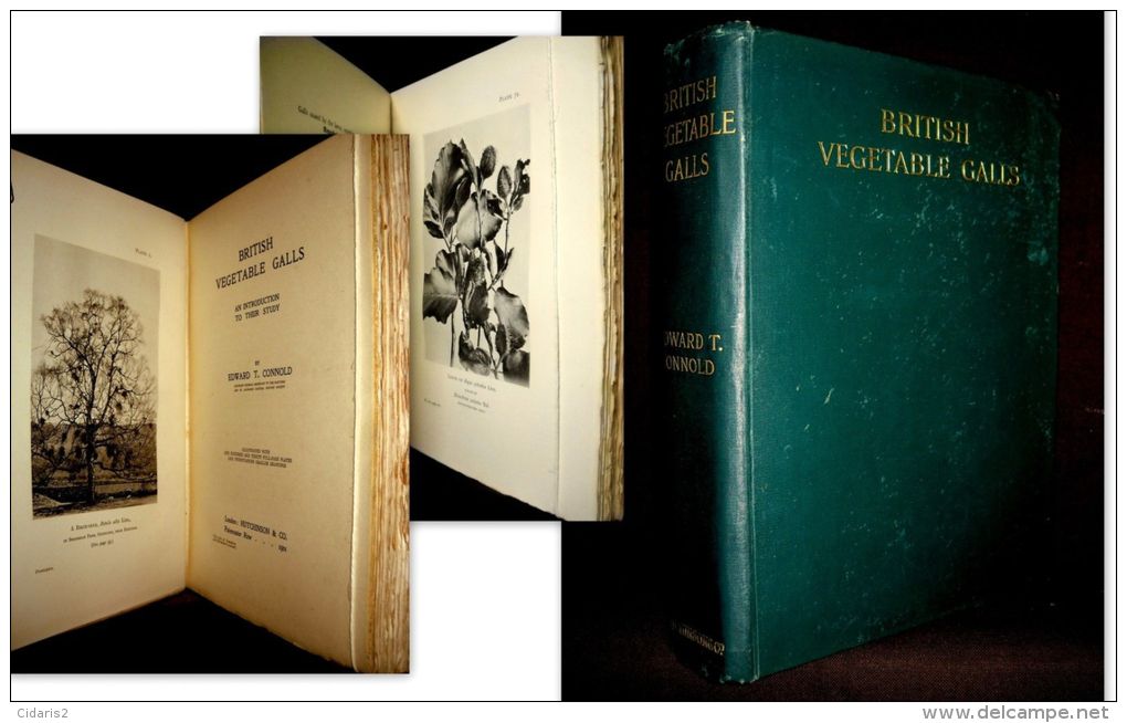 "BRITISH VEGETABLE GALLS" Arboriculture Agriculture Maladie Arbre Plante Botanique Plant Tree England Angleterre 1901 ! - Biologische Wetenschappen