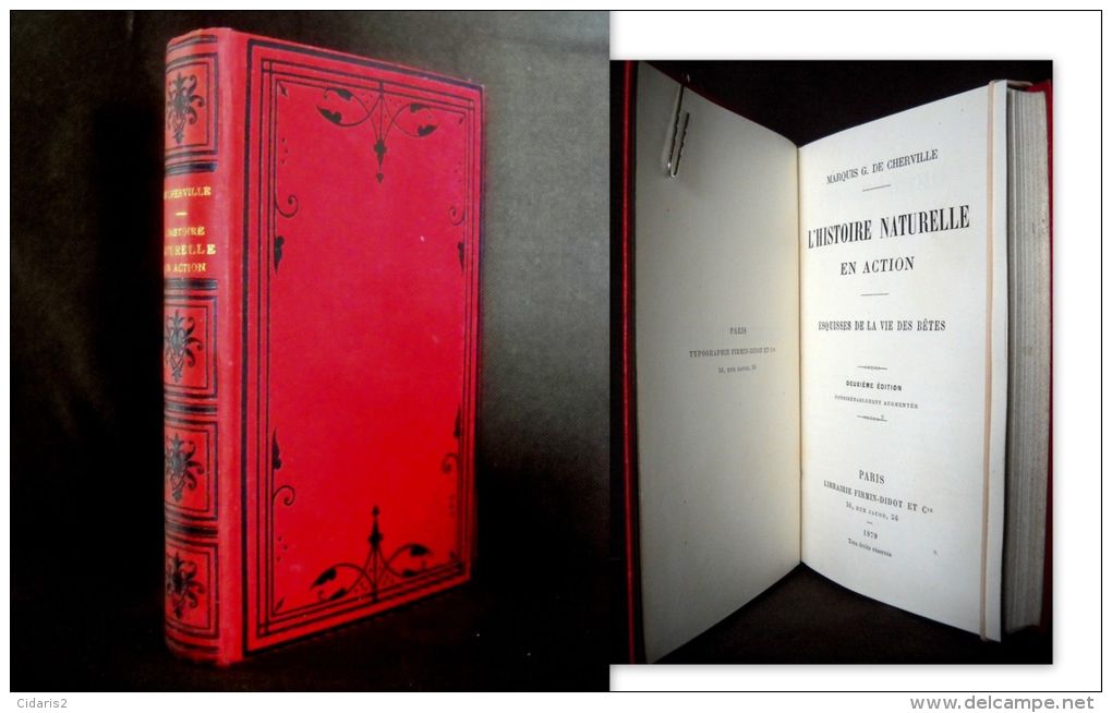 HISTOIRE NATURELLE En ACTION Par Le Marquis De CHERVILLE Chasse Peche Hunt Jagd Fishing Fischen Animaux Zoologie 1879 ! - Caza/Pezca