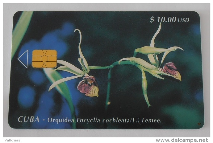 Tarjeta Cuba Nº 36 - Orquídea - Cuba