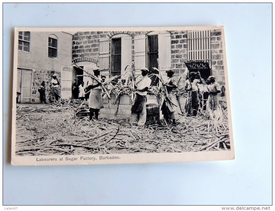 Carte Postale Ancienne : BARBADOS : Labourers At Sugar Factory - Barbados