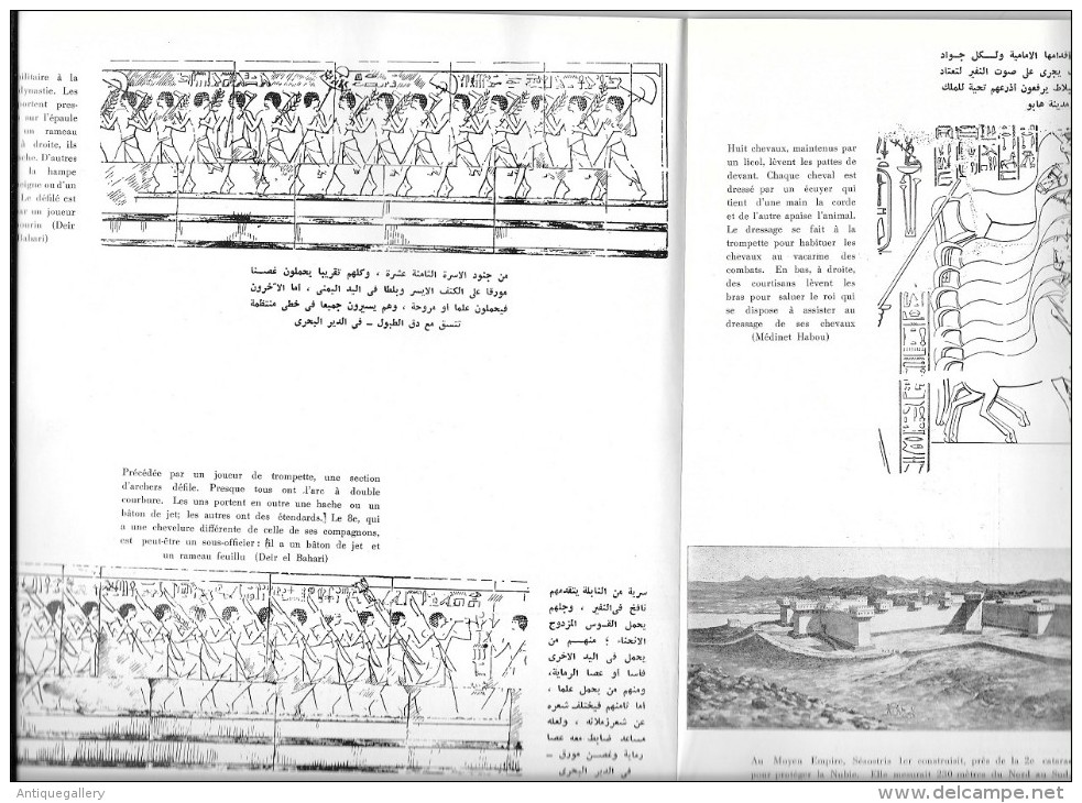 RARE : LIVRE DE DOCUMENTATION ET D'ETUDES SUR L' EGYPTE ANCIENNE - Altri & Non Classificati