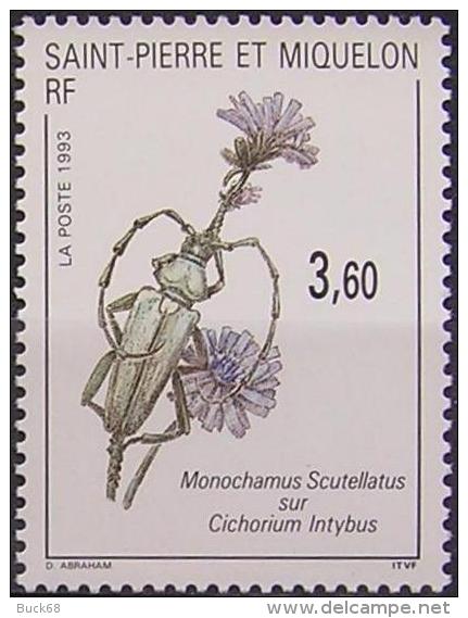 SAINT-PIERRE-ET-MIQUELON SPM  575 ** MNH Faune Flore Insecte Fleur 1993 - Ungebraucht