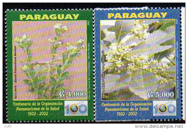 PARAGUAY 2002. Plantes Médicinales (2) - Medicinal Plants