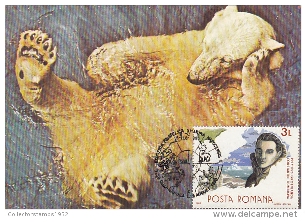 83-POLAR BEAR, ARCTIC FAUNA, CARTES MAXIMUM, CM, MAXICARD, 1990, ROMANIA - Faune Arctique