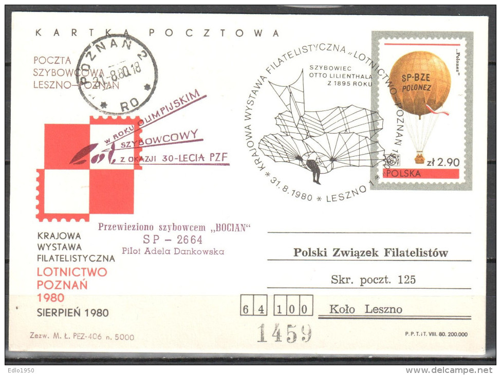 Poland 1980  - Flown Glider Postcard - Gleitflieger