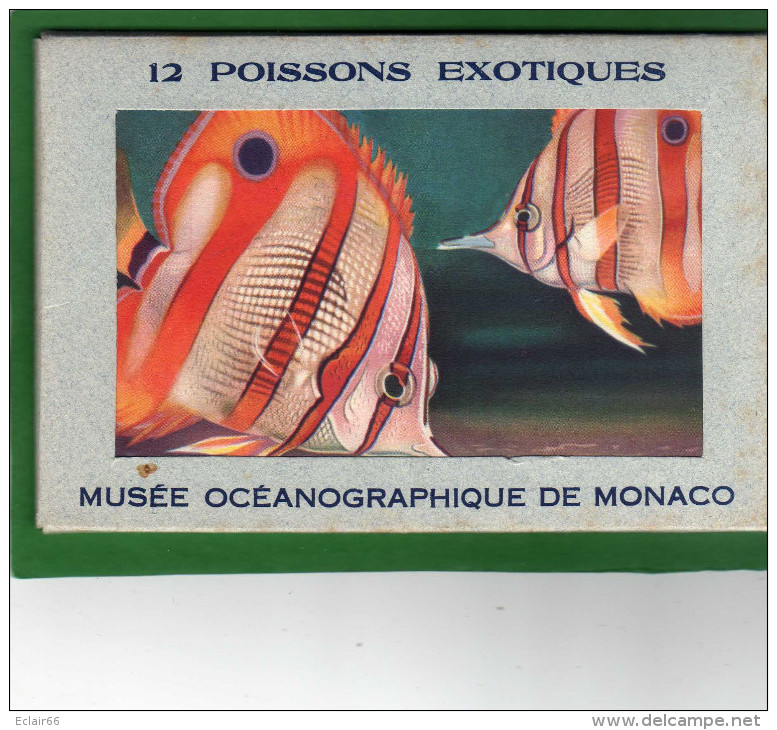 MONACO - MUSEE OCEANOGRAPHIQUE - CARNET DE12 CARTES EDIT  LES DOCUMENTS D'ART Monté-Carlo - Oceanografisch Museum
